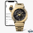 A-1A2110205 Golden Black Watch/.